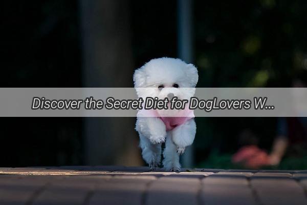 Discover the Secret Diet for DogLovers What Humans Can Eat to Combat Dog Hair Fall